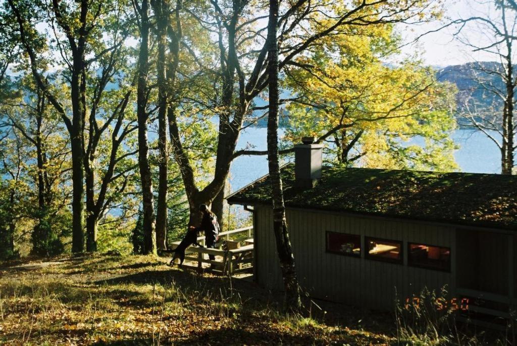 Вилла Hardanger Feriesenter Neshagen Нурхеймсунн Экстерьер фото